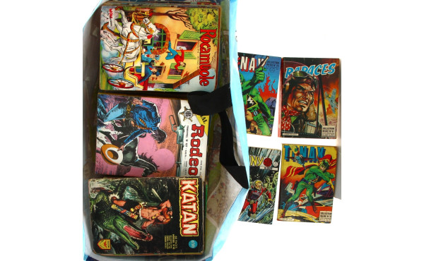 Lot de plus de 65 BD petits formats des 