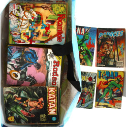 Lot de plus de 65 BD petits formats des 