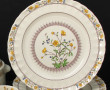 SPODE - Modèle "Buttercup" - Service 6 c