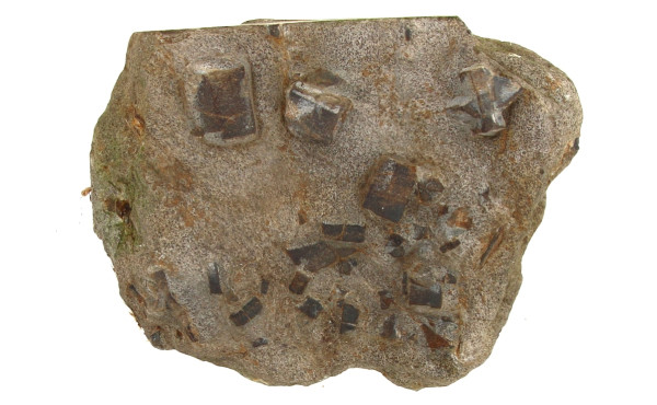 STAUROLITES - Plaque de schiste lustré a