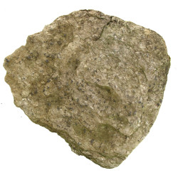 STAUROLITES - Plaque de schiste lustré a