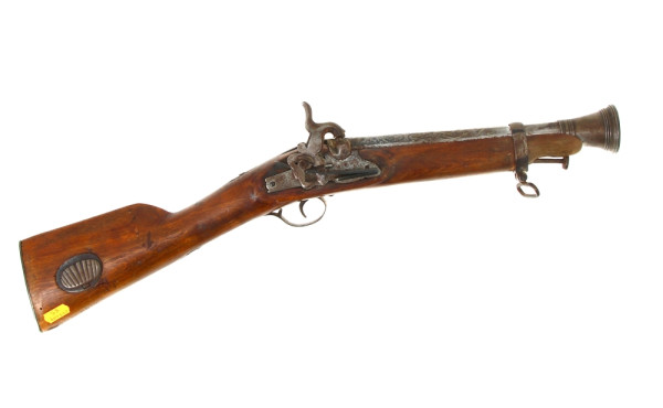 Fusil tromblonné platine à percussion, v