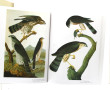J.J AUDUBON - "Le grand livre des oiseau
