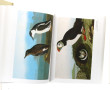 J.J AUDUBON - "Le grand livre des oiseau