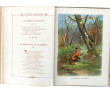 LA FONTAINE "Fables choisies" Librairie 