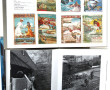 TRAINS - Lot de livres richements illust