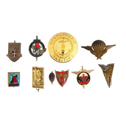 Lot d'insignes militaires divers dont ce