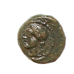 GRECE - Thrace Sestos AE 12 - IIIè siècl