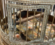 Importante cage à oiseaux ancienne de fo