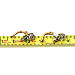 FRAIS REDUITS A 15 % - Paire de boucles 