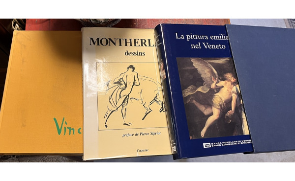 ART - Lot de livres dont Bruegel, Monthe