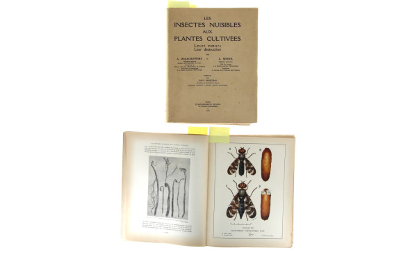 BALACHOWSKY (A.) & MESNIL (L.) - "Les In