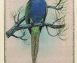 "Perroquet branché", soie peinte, 32,5 x