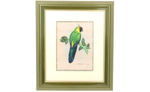 "Perroquet branché", soie peinte 32,5 x 