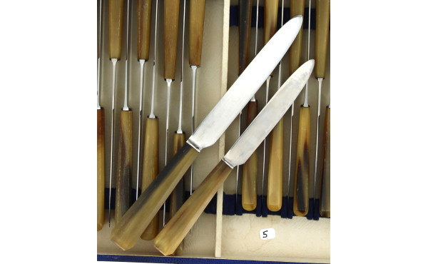 12 couteaux de table et 12 couteaux à en