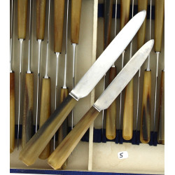 12 couteaux de table et 12 couteaux à en